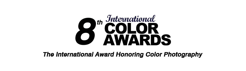 8th Color Awards header