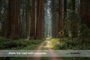 Applied Arts Magazine –  2026 Online Winner’s Gallery